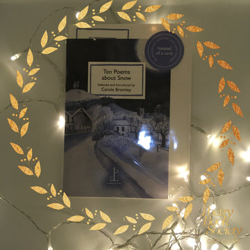 PBS GIFT GUIDE #2: SNOW POEMS