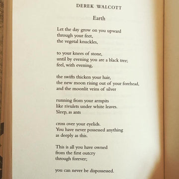 POEM A DAY: DEREK WALCOTT