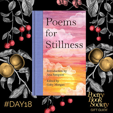 PBS GIFT GUIDE DAY 18