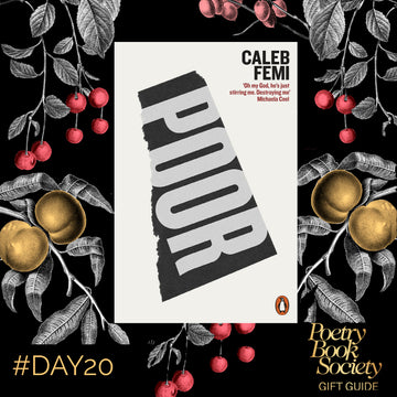 PBS GIFT GUIDE DAY 20