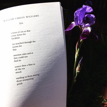 POEM A DAY: WILLIAM CARLOS WILLIAMS