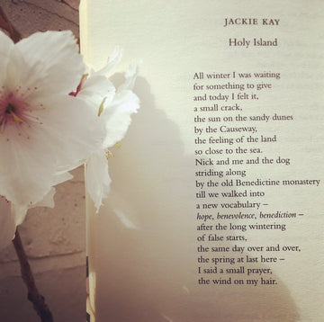 POEM A DAY: HOLY ISLAND