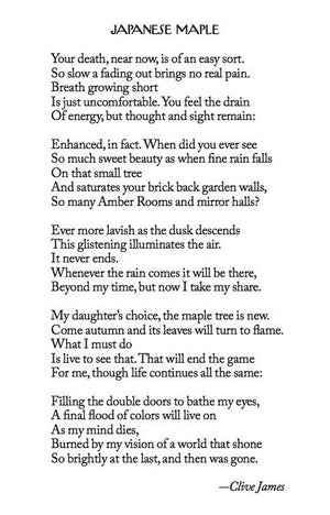 IN MEMORY OF CLIVE JAMES