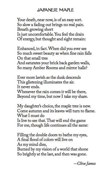 IN MEMORY OF CLIVE JAMES