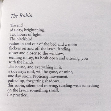 POEM A DAY: THE ROBIN
