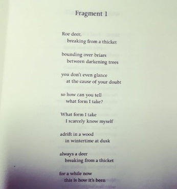 POEM OF THE WEEK: KATHLEEN JAMIE