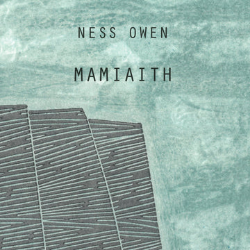 TRANSLATION THURSDAY: POEMS ABOUT LANGUAGE AND PLACE. NESS OWEN AND SIAN NORTHEY ON MAMIAITH