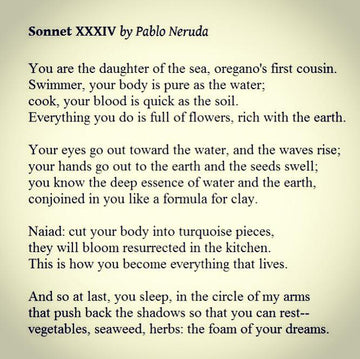 POEM A DAY: NERUDA