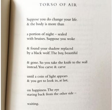 POEM A DAY: OCEAN VUONG