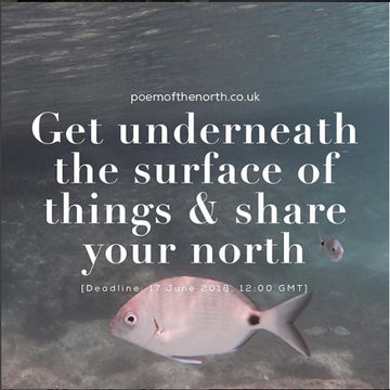 POEM OF THE NORTH