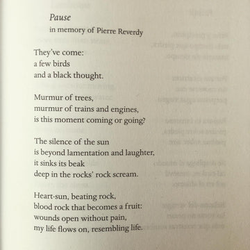 POEM A DAY: PAUSE