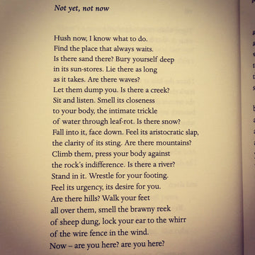 POEM A DAY: SARAH BROOM
