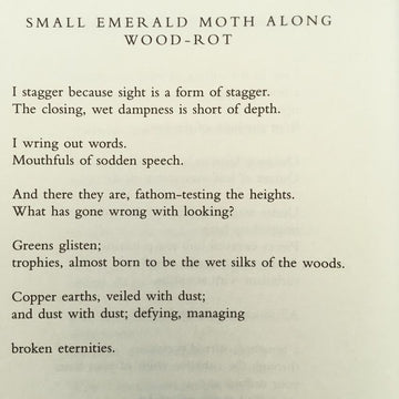 POEM A DAY: SEAN BORODALE