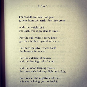 POEM A DAY: LEAF