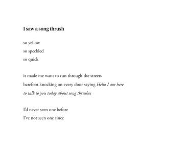 SPRING PAMPHLET CHOICE