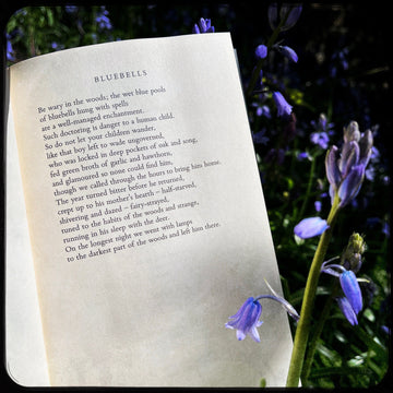 POEM OF THE WEEK: BLUEBELLS