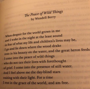 POEM A DAY: THE PEACE OF WILD THINGS