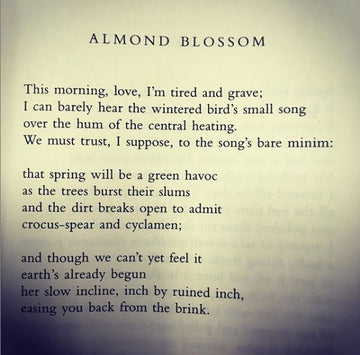 POEM OF THE DAY: FIONA BENSON