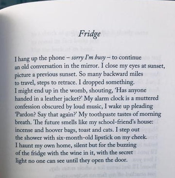POEM A DAY: FRIDGE