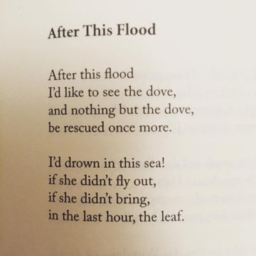 POEM A DAY: AFTER THIS FLOOD