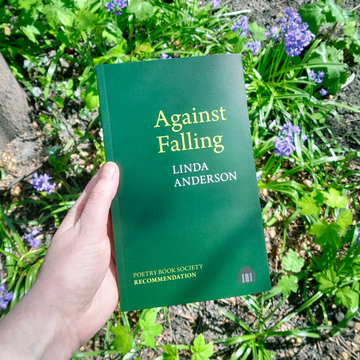 Book of the Week: Against Falling