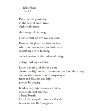 Poem of the Week