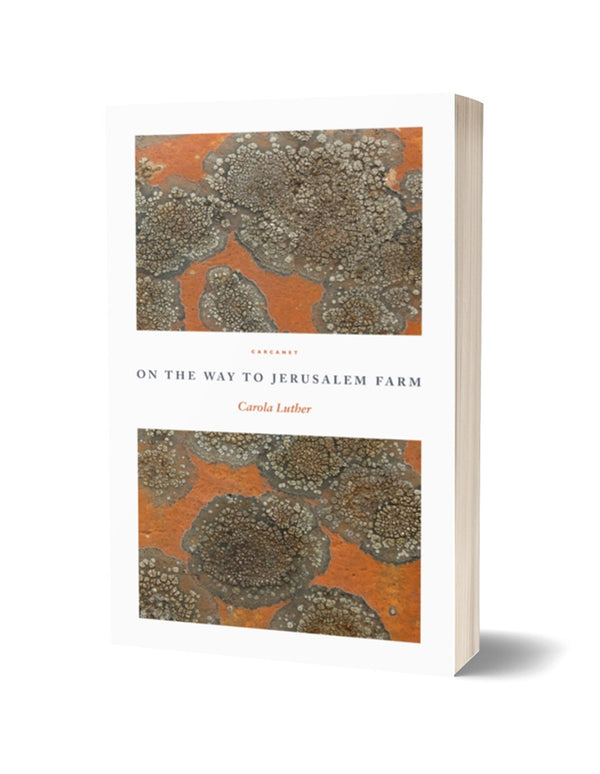 On the Way to Jerusalem Farm by Carola Luther