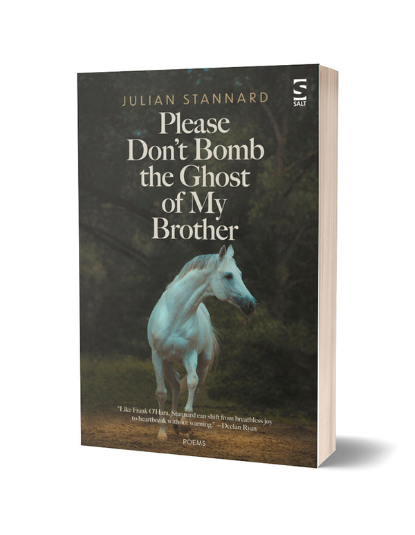 Please Don't Bomb the Ghost of My Brother by Julian Stannard