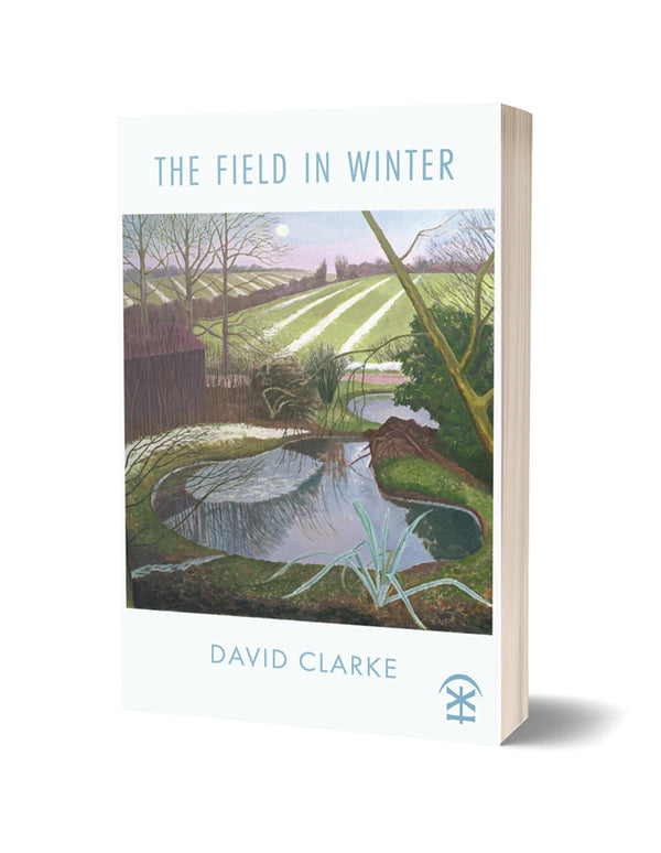 The Field in Winter by David Clarke