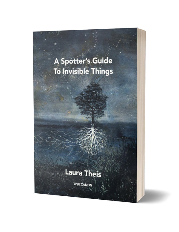 A Spotter's Guide for Invisible Things by Laura Theis