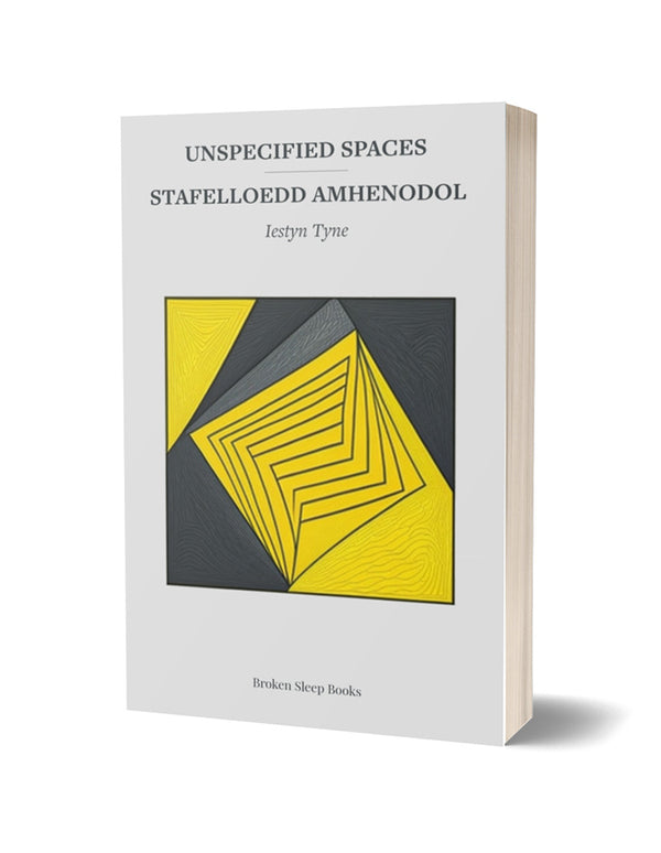 Unspecified Spaces / Stafelloedd Amhenodol by Iestyn Tyne