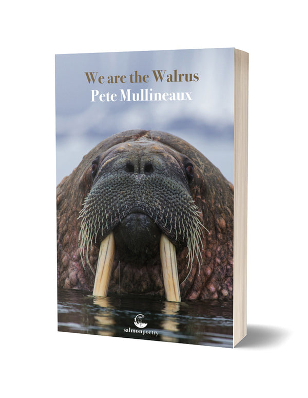 We Are The Walrus by Pete Mullineaux