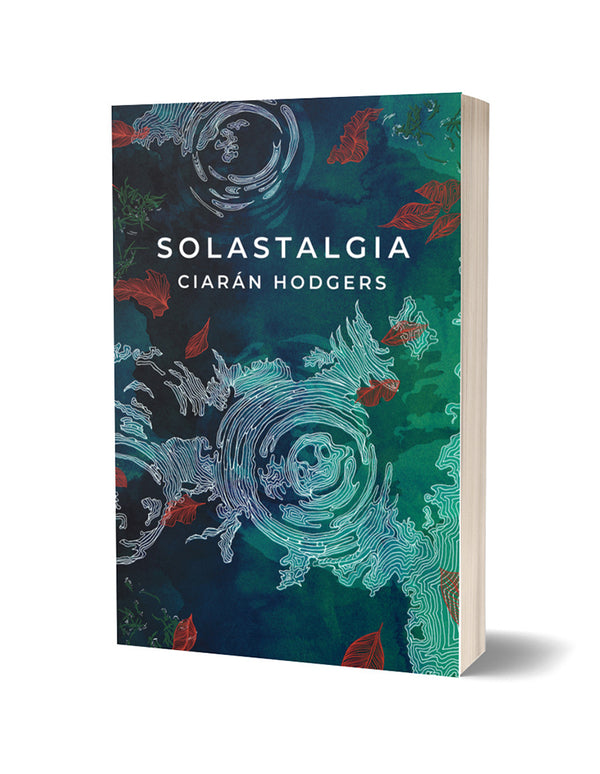 Solastalgia by Ciarán Hodgers