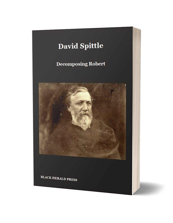 Decomposing Robert by David Spittle