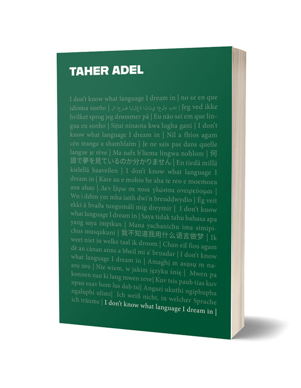 I Don't Know What Language I Dream In by Taher Adel