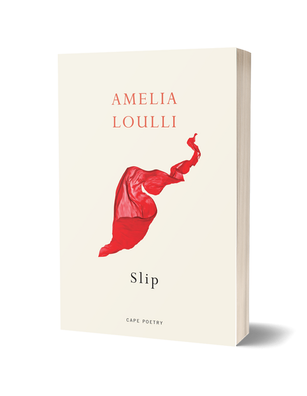 Slip by Amelia Loulli