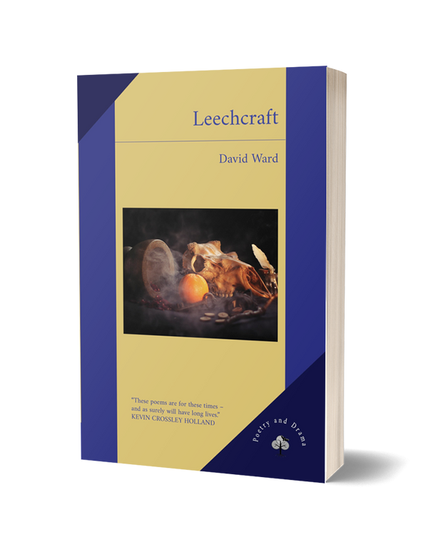 Leechcraft by David Ward