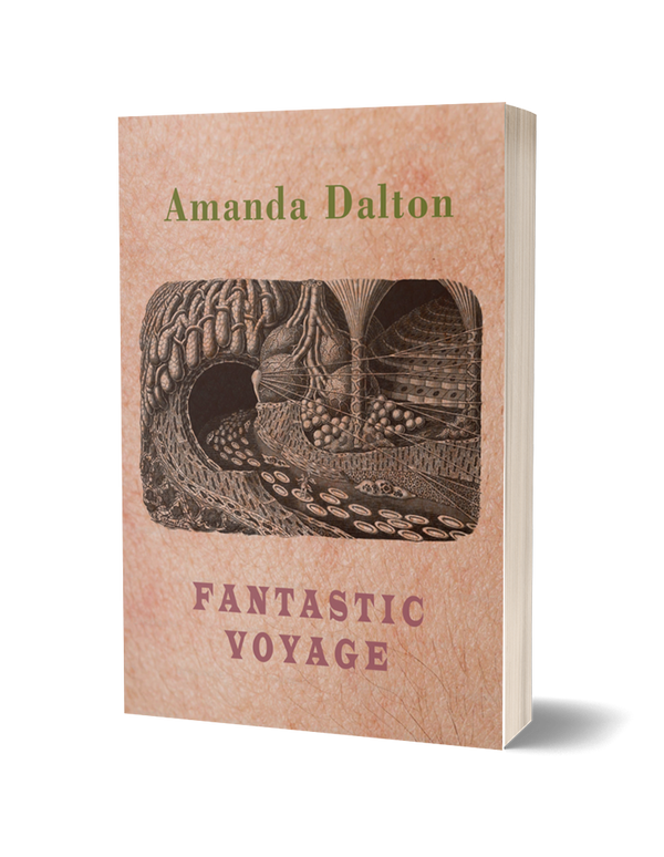 Fantastic Voyage by Amanda Dalton PRE-ORDER