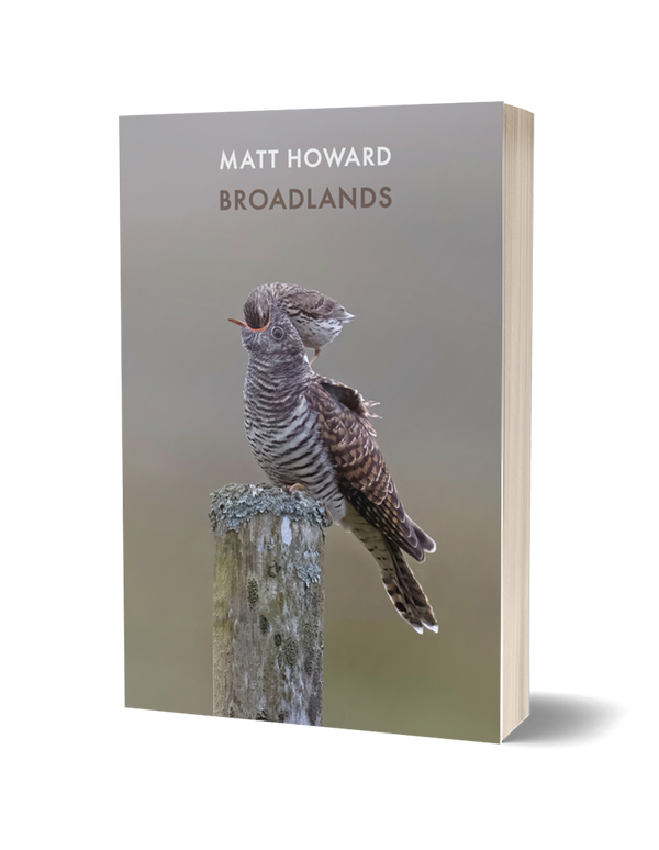 Broadlands by Matt Howard