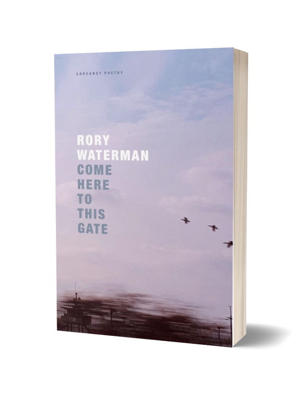 Come Here To This Gate by Rory Waterman PRE-ORDER