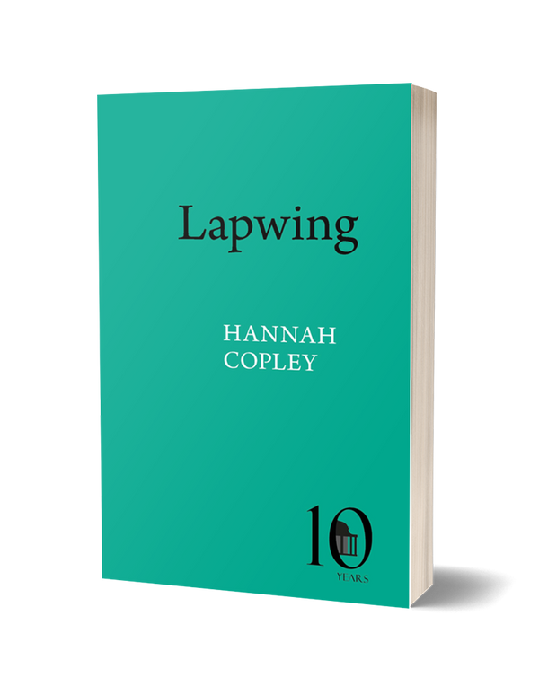 Lapwing by Hannah Copley<br><b>Poetry Book Society Recommendation Summer 2024</b><br>PRE-ORDER