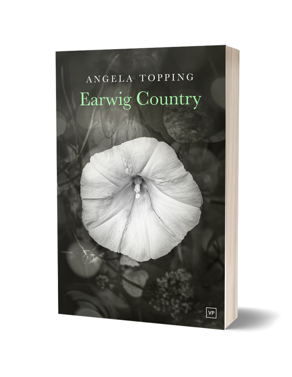 Earwig Country by Angela Topping