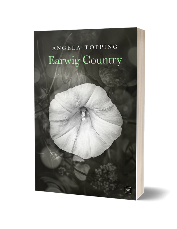 Earwig Country by Angela Topping PRE-ORDER