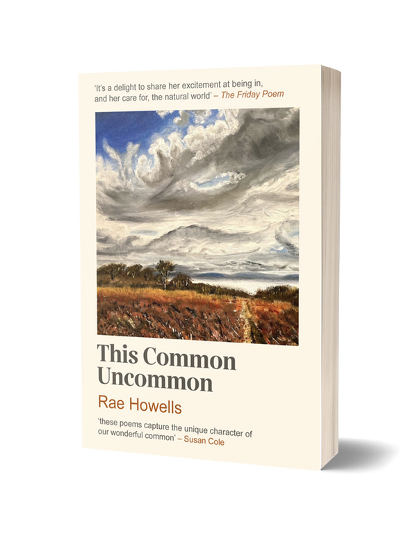 This Common Uncommon by Rae Howells