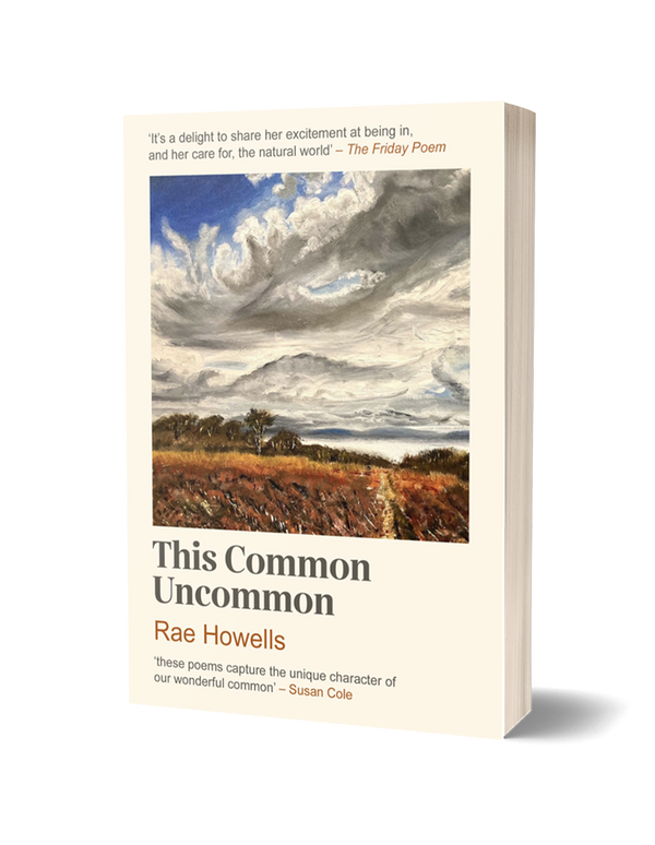 This Common Uncommon by Rae Howells PRE-ORDER