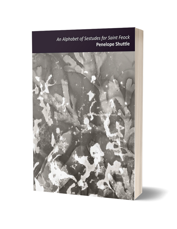 An Alphabet of Sestudes for Saint Feock by Penelope Shuttle
