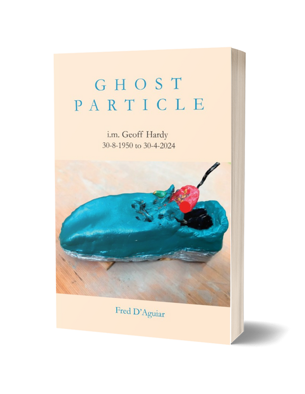 Ghost Particles by Fred D'Aguiar