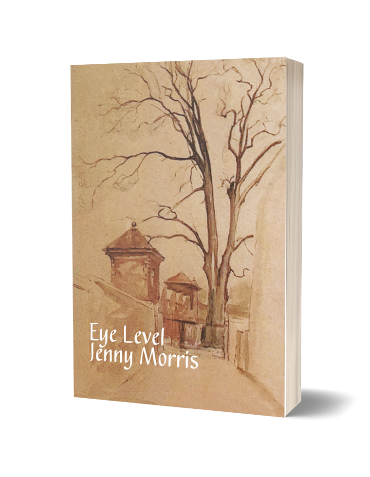 Eye Level by Jenny Morris - The Poetry Book Society