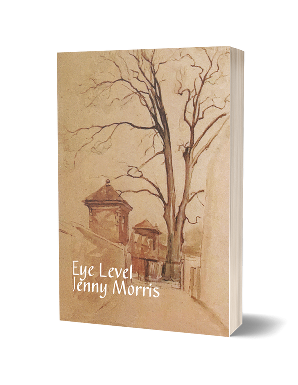 Eye Level by Jenny Morris