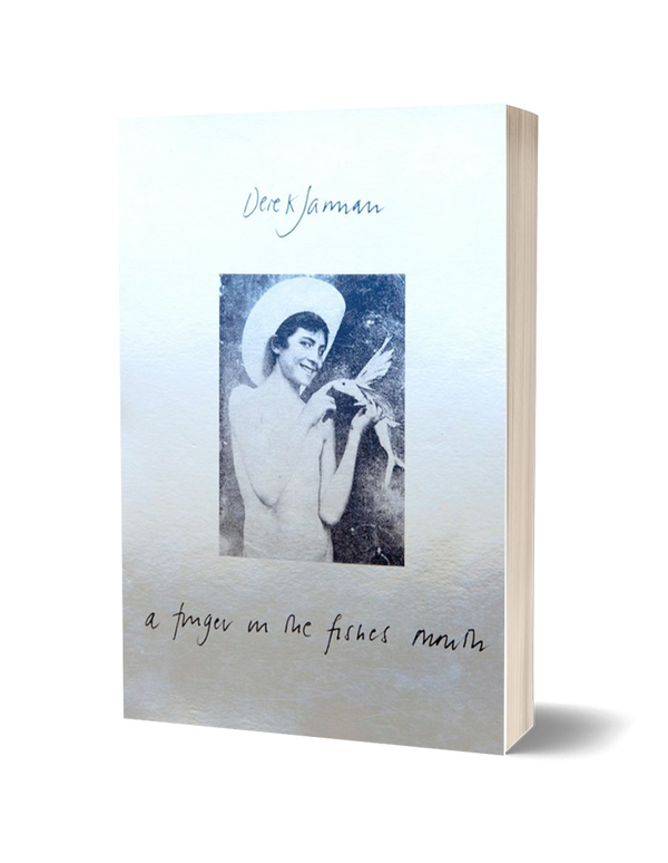 A Finger in the Fishes Mouth by Derek Jarman